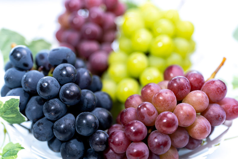ブドウの種類